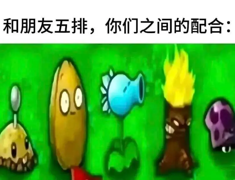 和朋友五排，你们之间的配合：