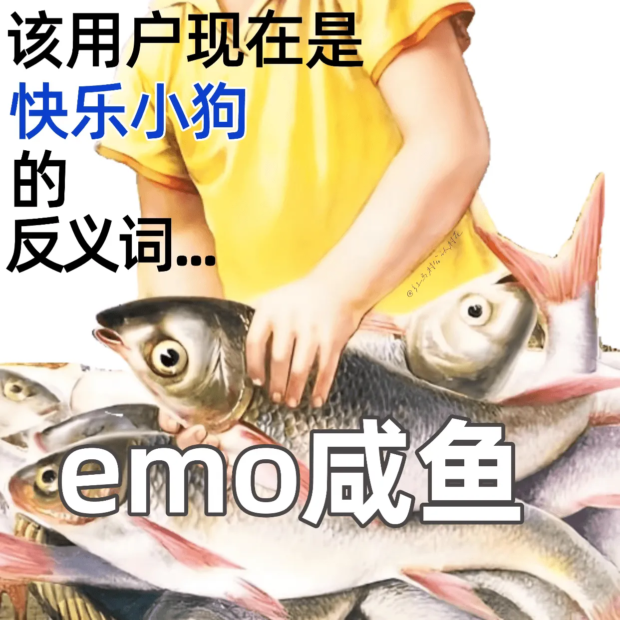 该用户现在是快乐小狗的反义词。emo咸鱼