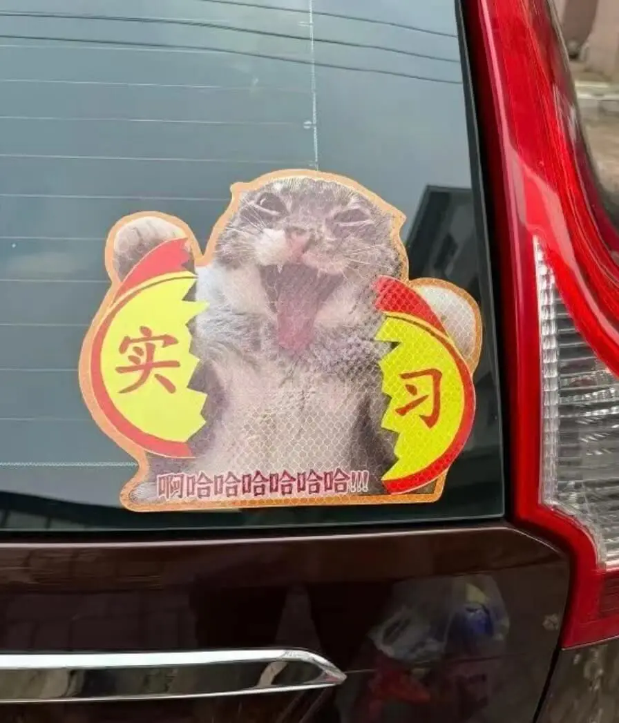 哈哈哈哈现在是新手膨胀期！🤣🤣