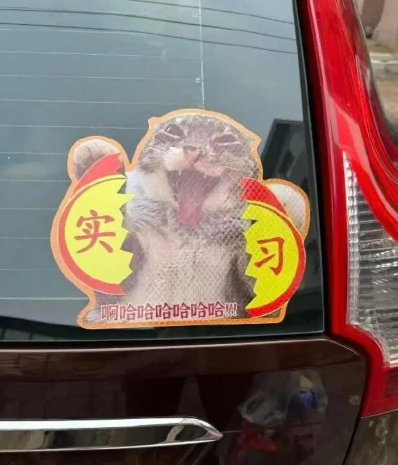 哈哈哈哈现在是新手膨胀期！🤣🤣
