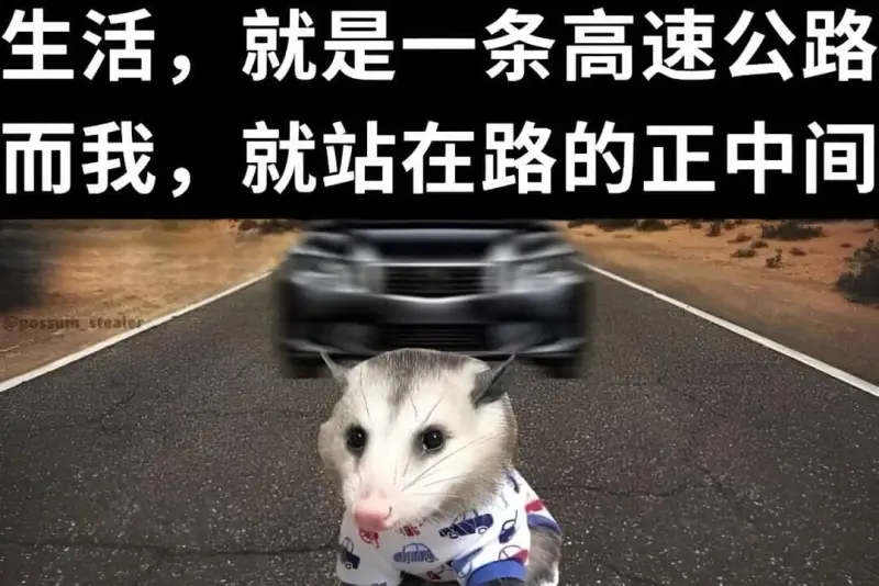 梗图