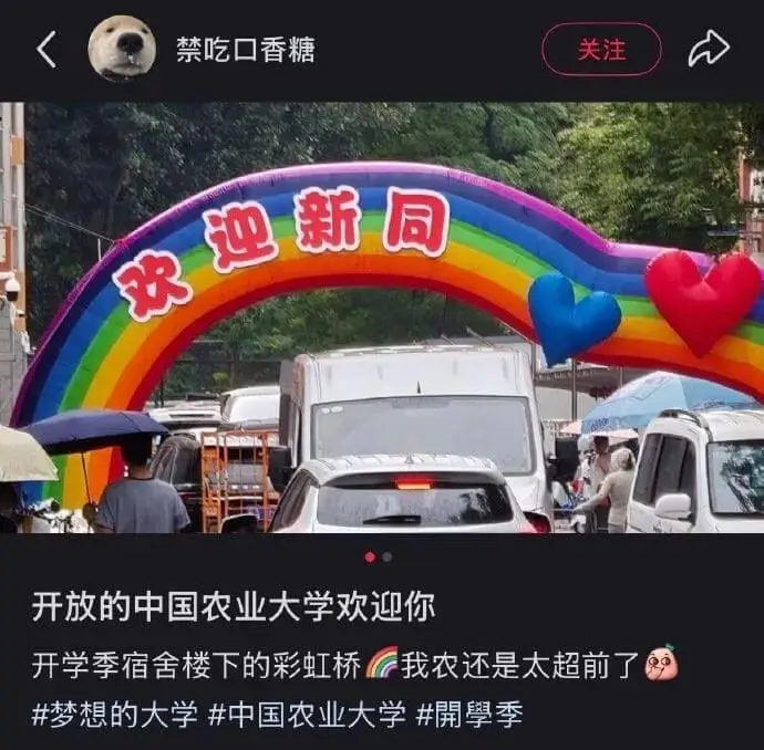 禁吃口香糖关注开放的中国农业大学欢迎你开学季宿舍楼下的彩虹桥