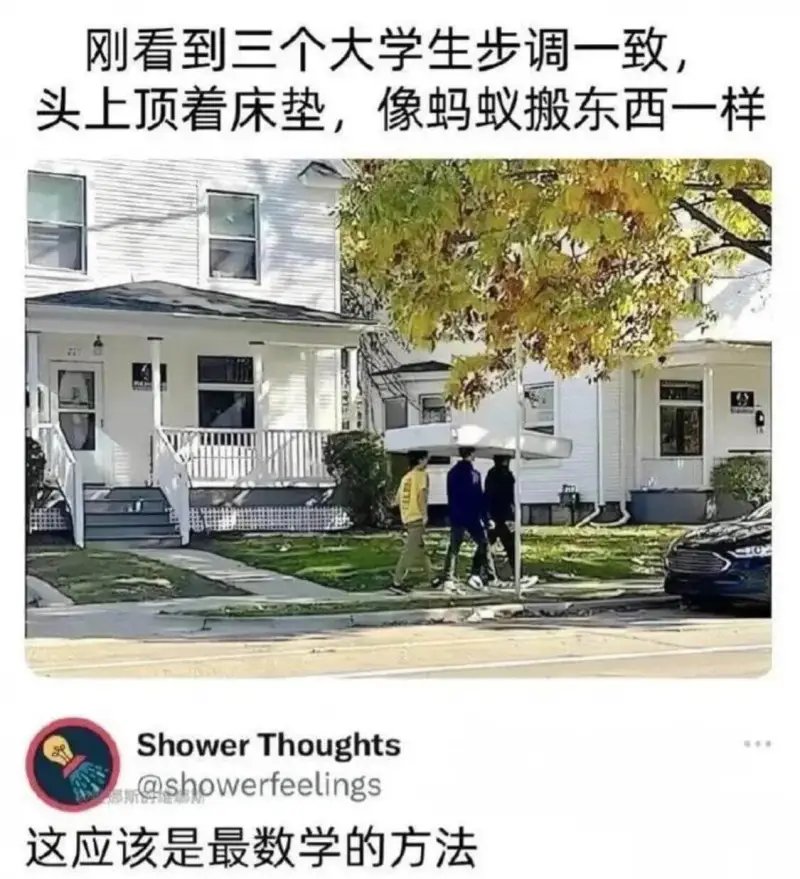 刚看到三个大学生步调一致头上顶着床垫，像蚂蚁搬东西一样Sho