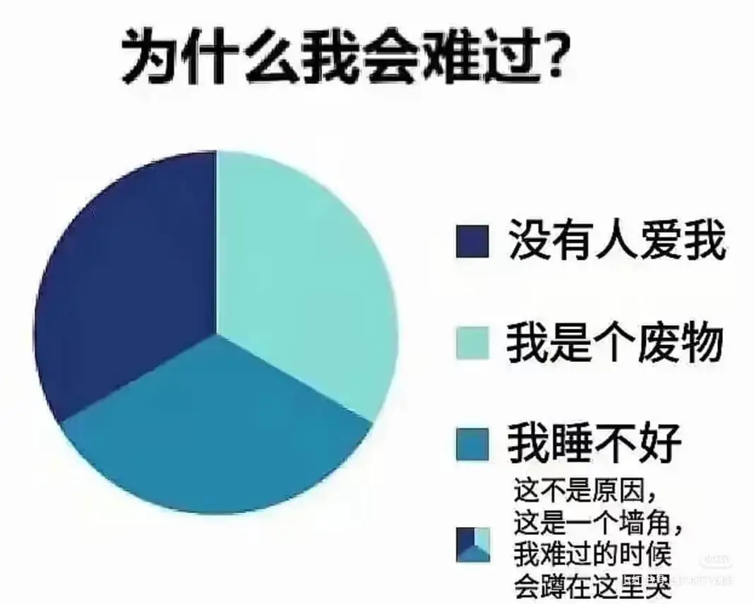 为什么我会难过？没有人爱我。我是个废物。我睡不好。这不是原因