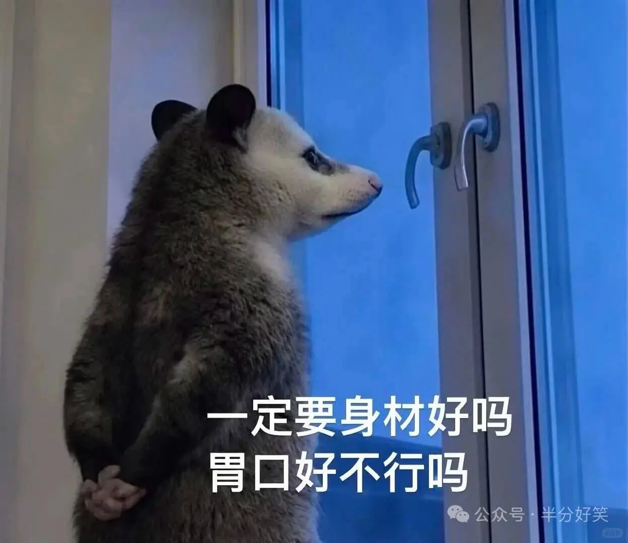 负鼠还是那么权威，字字句句戳心窝，越戳越疼😭