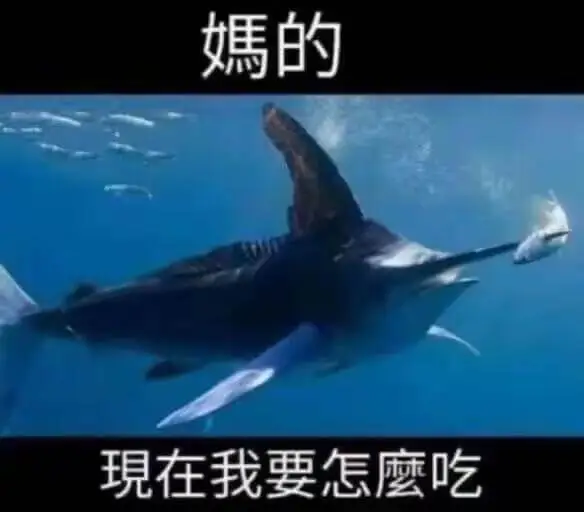 梗图
