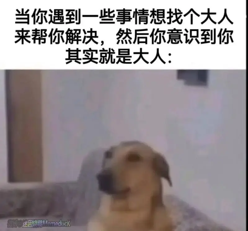 当你遇到一些事情想找个大人来帮你解决，然后你意识到你其实就是