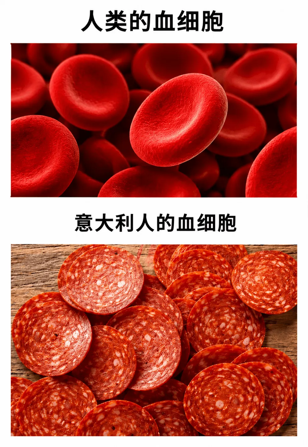 人类的血细胞意大利人的血细胞