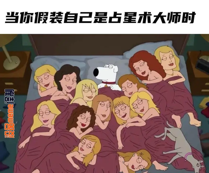当你假装自己是占星术大师时译制：设品meme