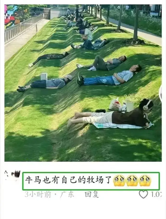 牛马也有自己的牧场了。3小时前·广东回复回复