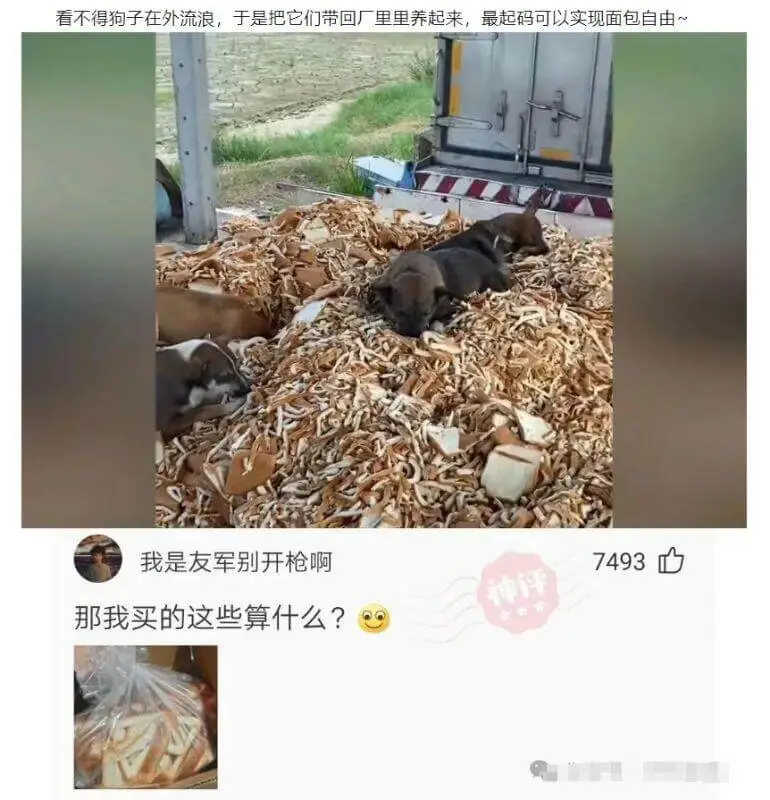 梗图