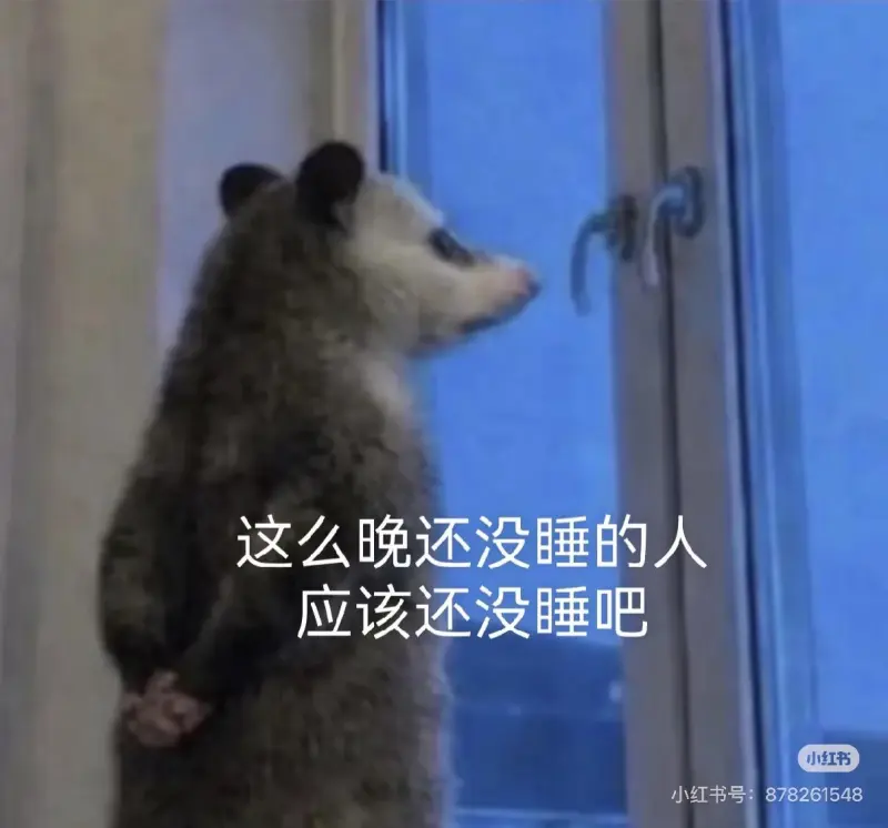 这么晚还没睡的人，应该还没睡吧。小红书小红书号：878261