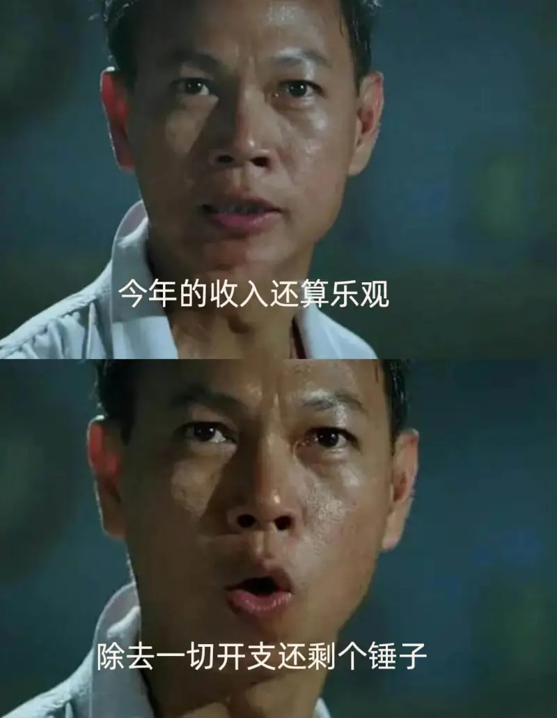 今年的收入还算乐观，除去一切开支还剩个锤子。
