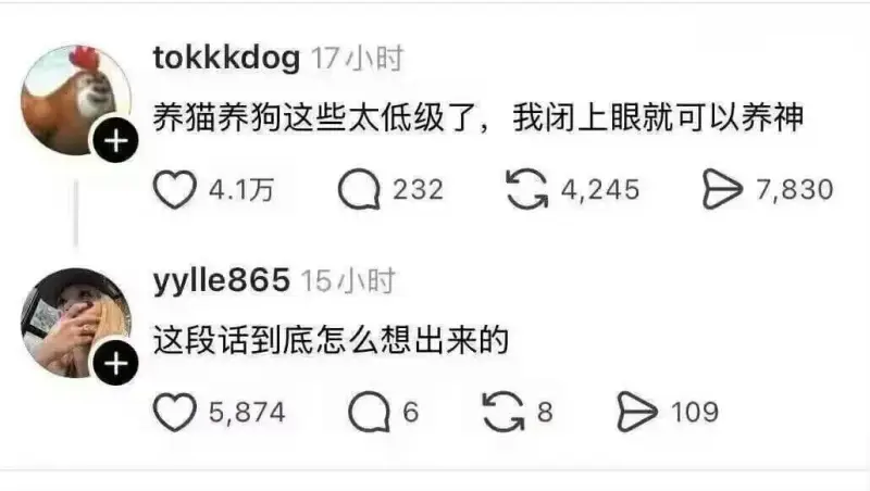 tokkkdog17小时养猫养狗这些太低级了，我闭上眼就可以