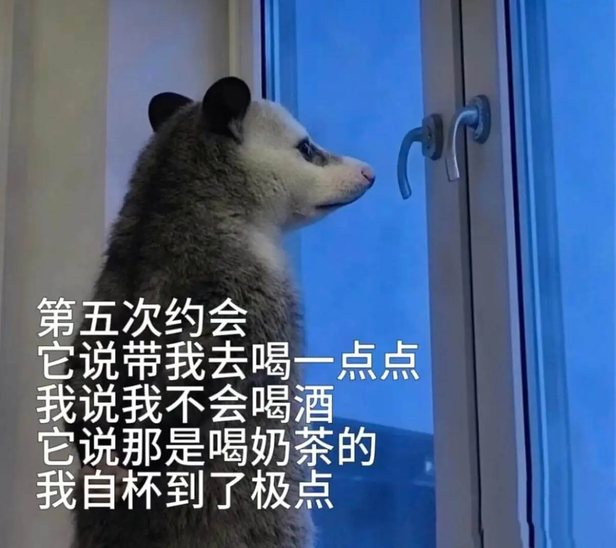 第五次约会它说带我去喝一点点，我说我不会喝酒，它说那是喝奶茶