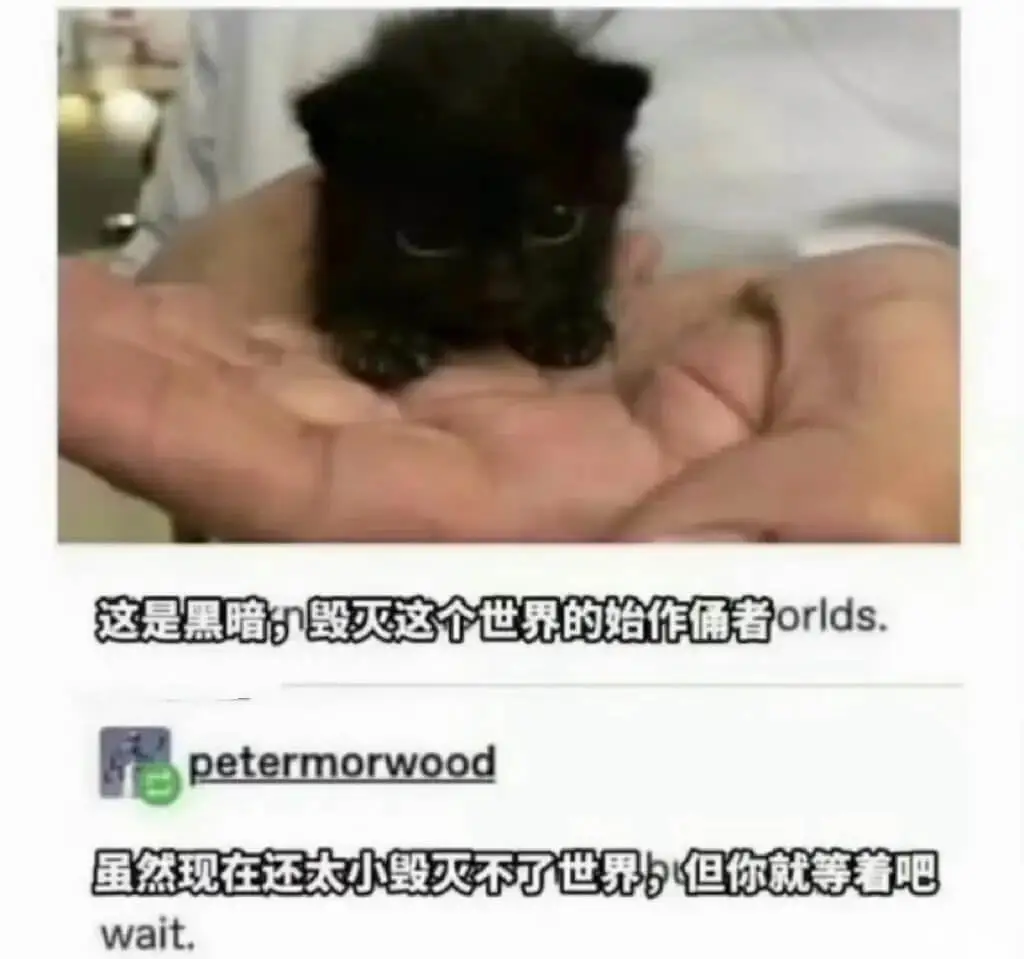 梗图