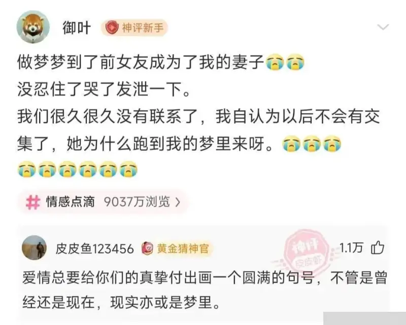 御叶神评新手做梦梦到了前女友成为了我的妻子没忍住了哭了发泄一