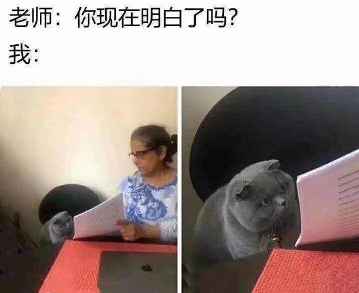 老师：你现在明白了吗？我：