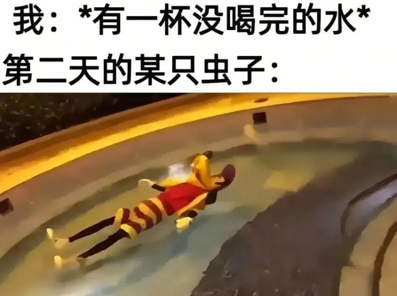 我：*有一杯没喝完的水*第二天的某只虫子：