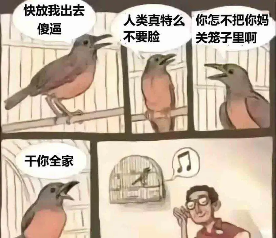 20250305每日梗图
