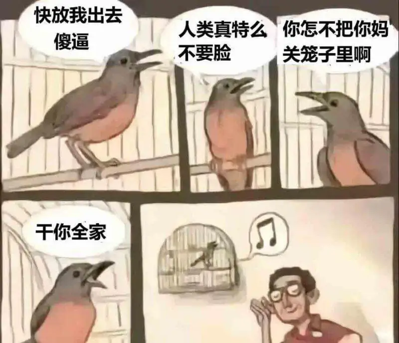 20250305每日梗图