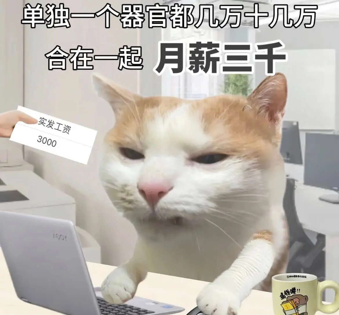 一个人的夜，我的钱应该放在哪里