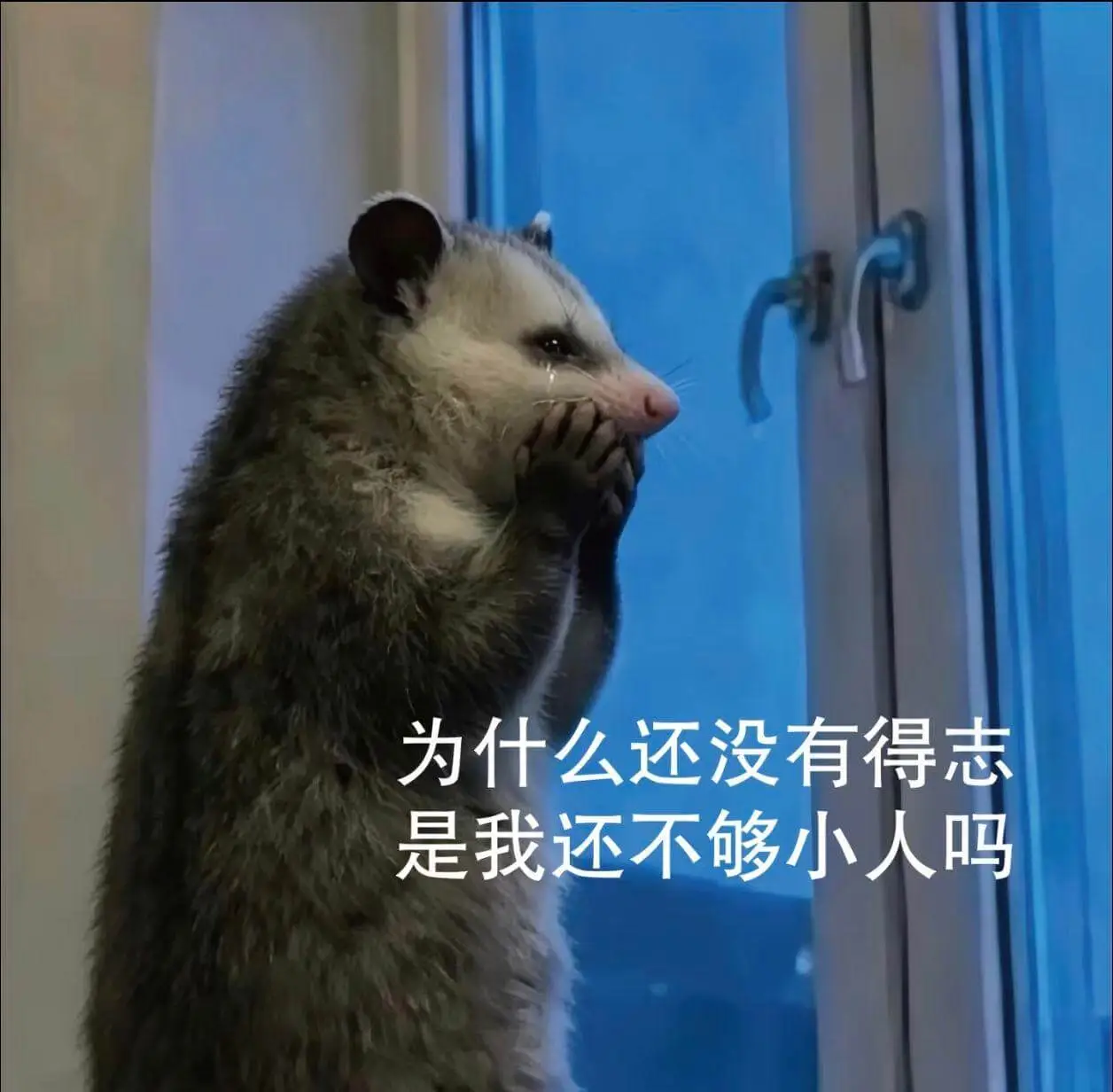 为什么还没有得志？是我还不够小人吗？