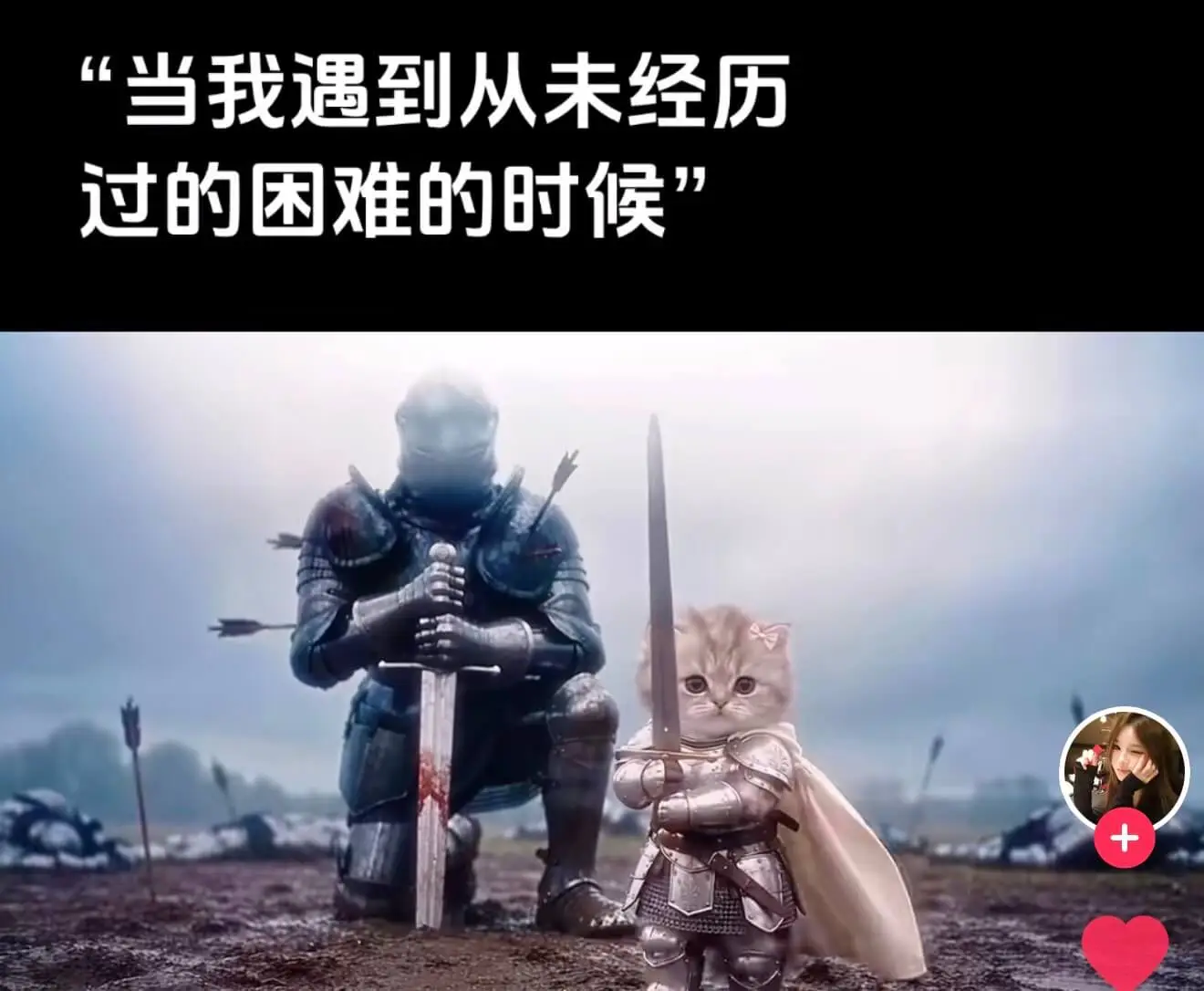 这个铠甲猫咪系列太有梗了