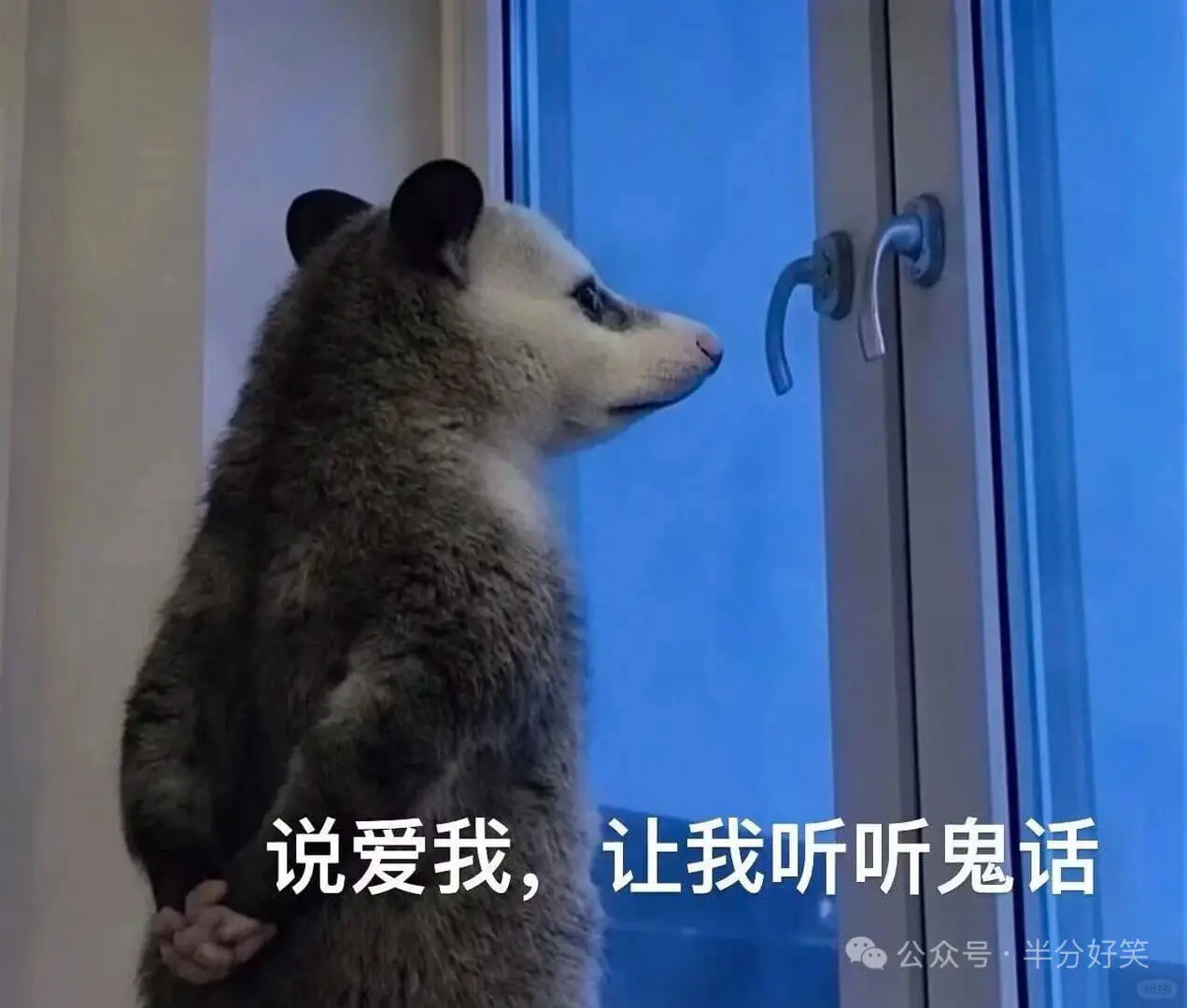 负鼠还是那么权威，字字句句戳心窝，越戳越疼😭
