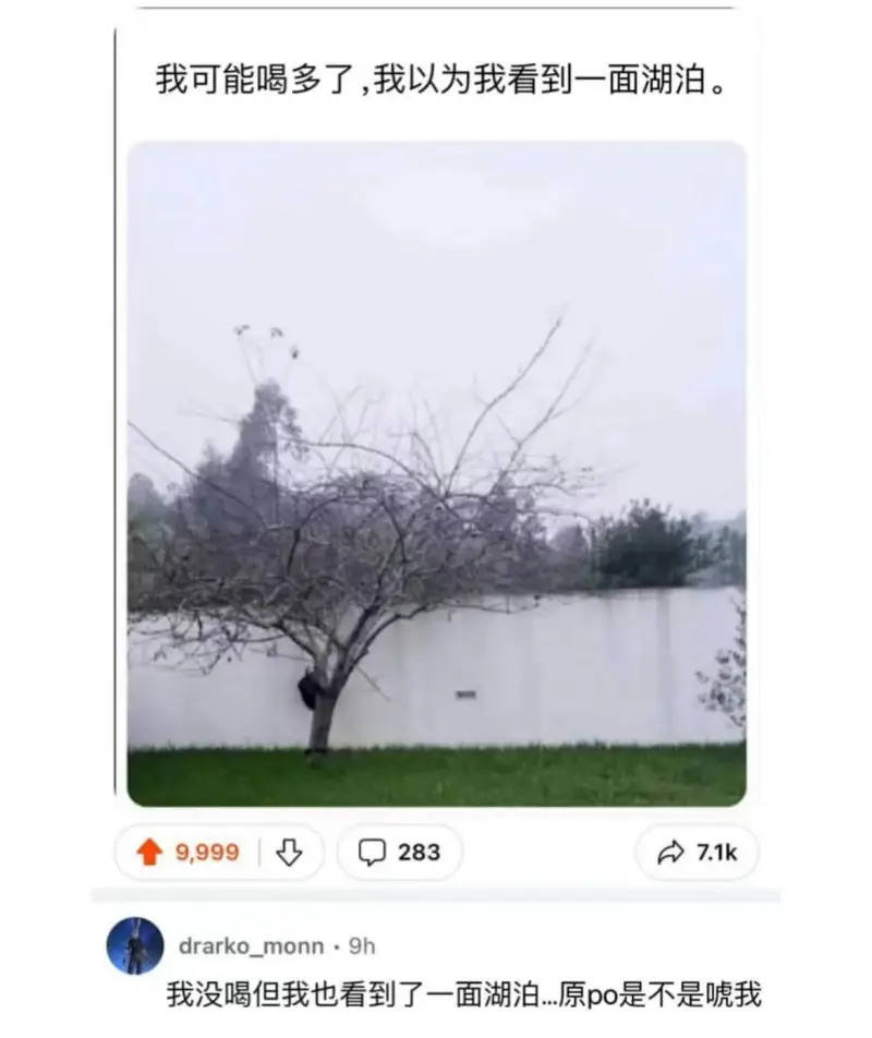 我可能喝多了，我以为我看到一面湖泊。9.9992837.1k
