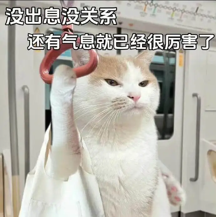 没出息没关系，还有气息就已经很厉害了。