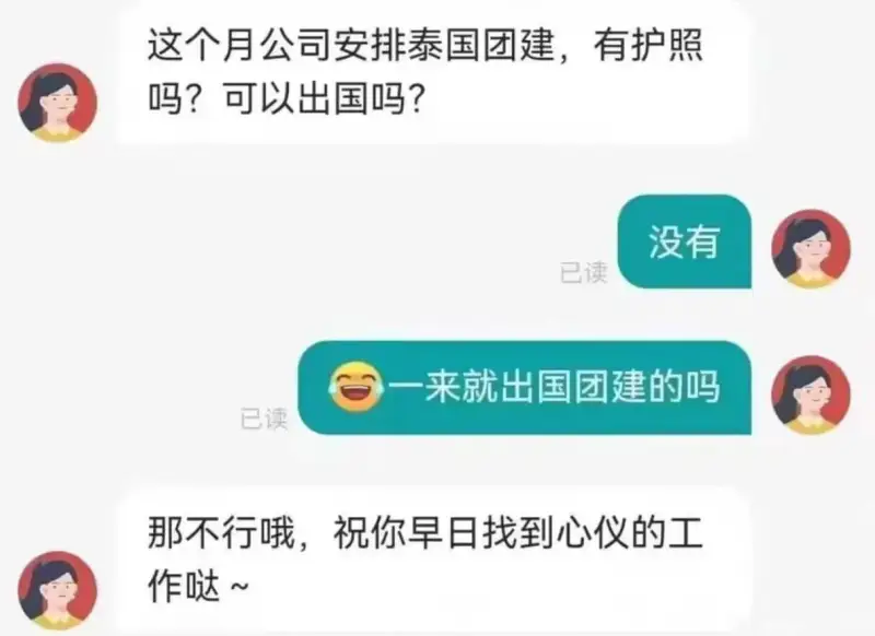 这个月公司安排泰国团建，有护照吗?可以出国吗?已读没有已读一