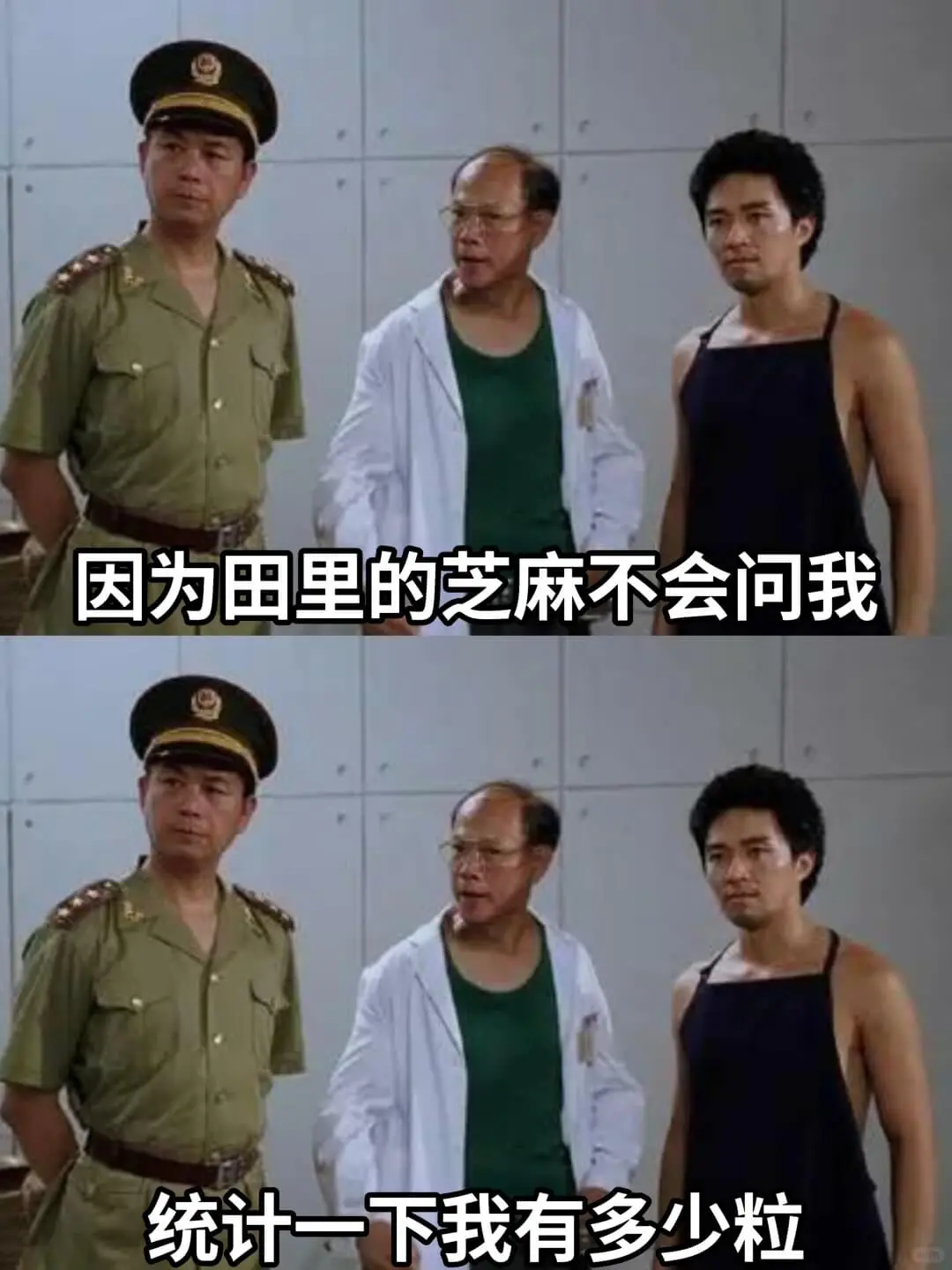 因为串里的芝麻不会问我统计一下我有多少粒