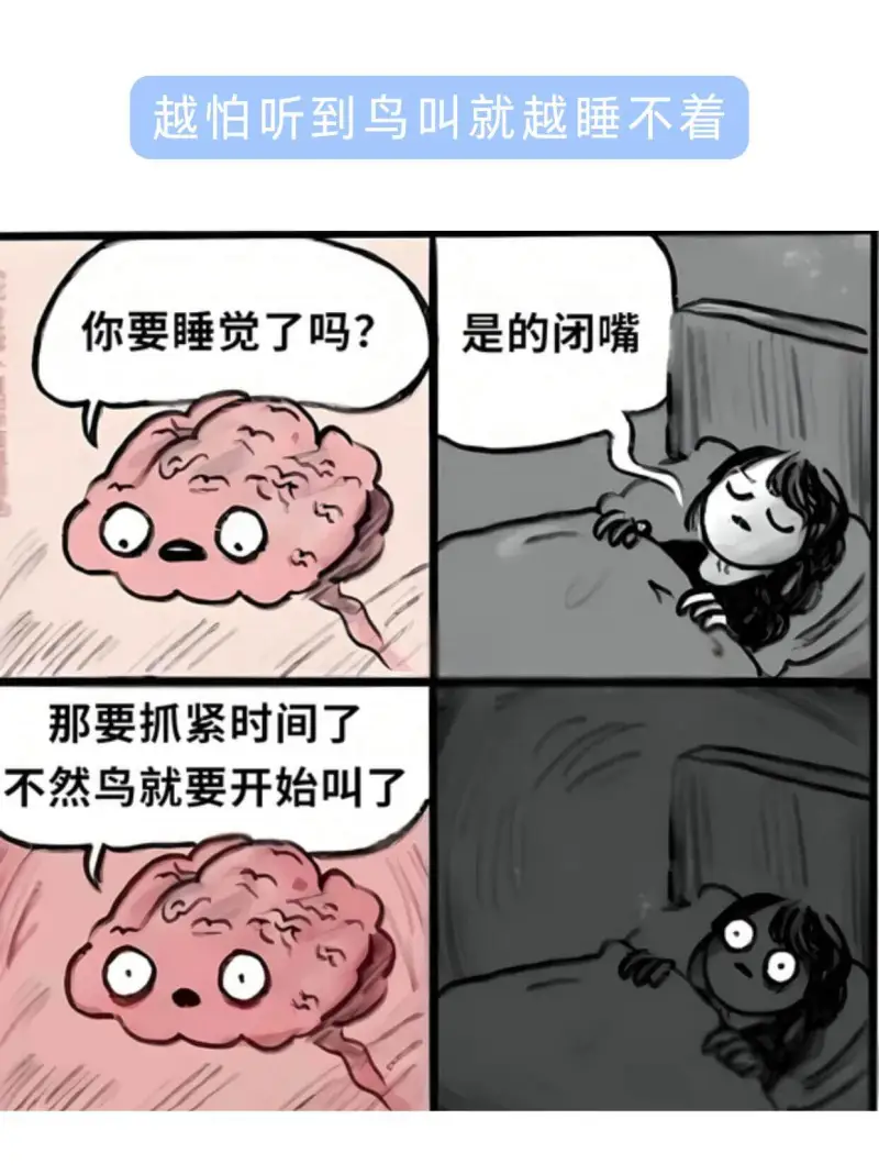 越怕听到鸟叫就越睡不着你要睡觉了吗？是的闭嘴那要抓紧时间了不