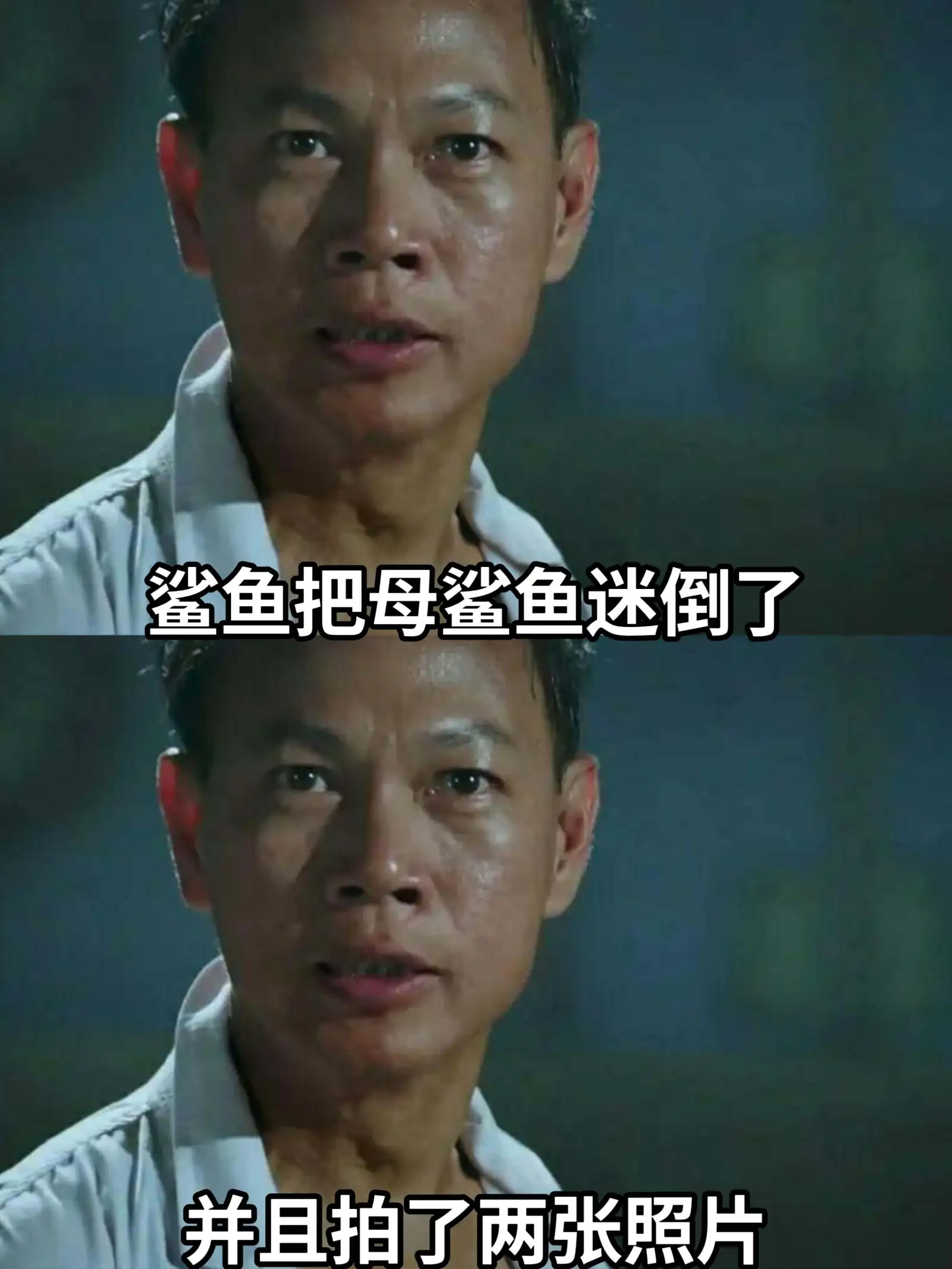 鲨鱼把母鲨鱼迷倒了,并且拍了两张照片。