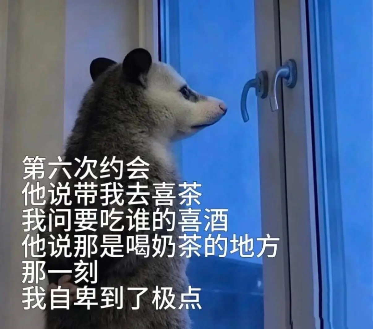第六次约会他说带我去喜茶。我问：“要吃谁的喜酒？”他说：“那