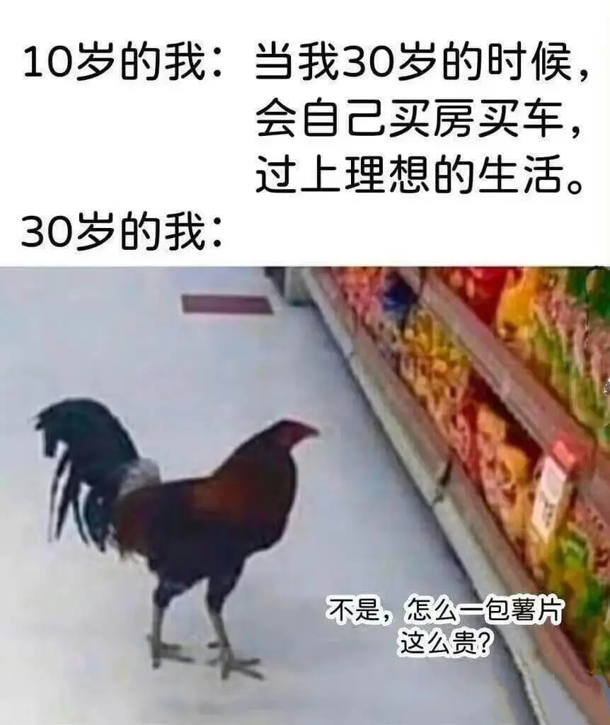10岁的我：当我30岁的时候会自己买房买车，过上理想的生活。