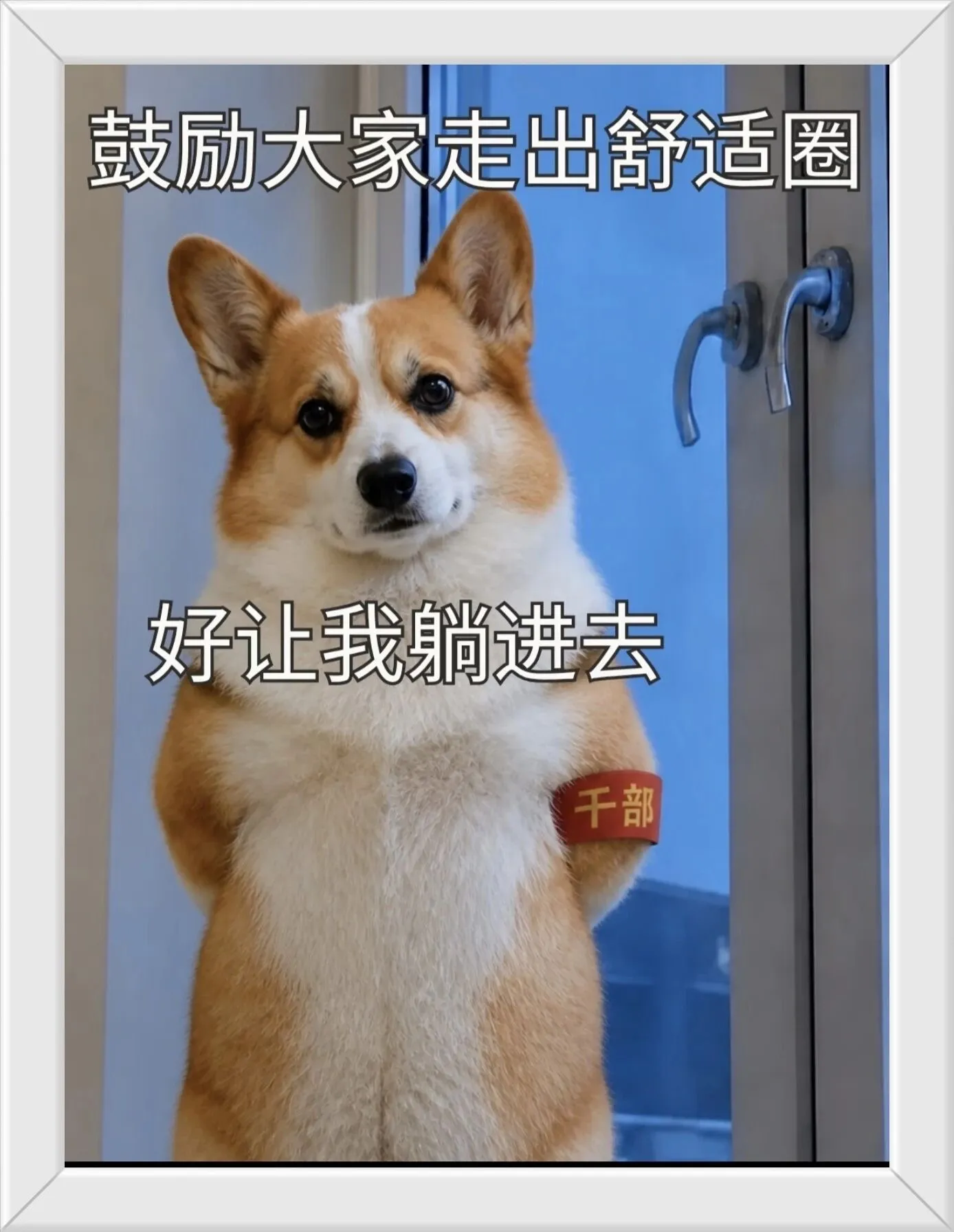 帮我挂个富科哈哈哈哈哈哈哈哈哈哈哈哈哈哈哈