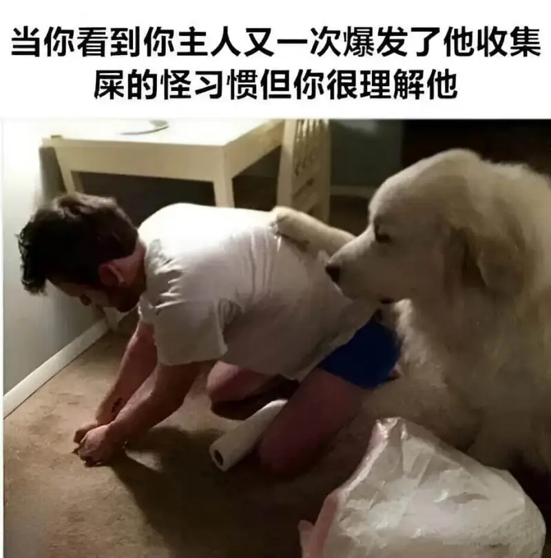 梗图