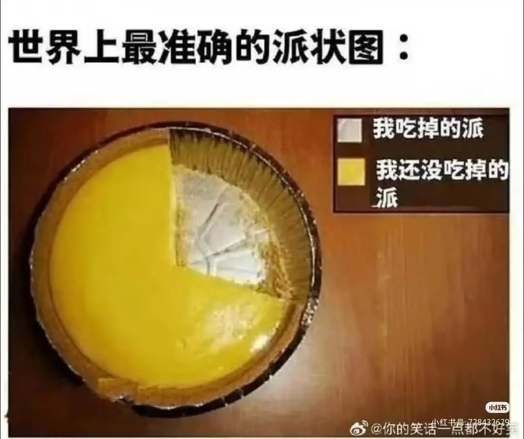 世界上最准确的派状图：我吃掉的派我还没吃掉的派小红书@你的笑