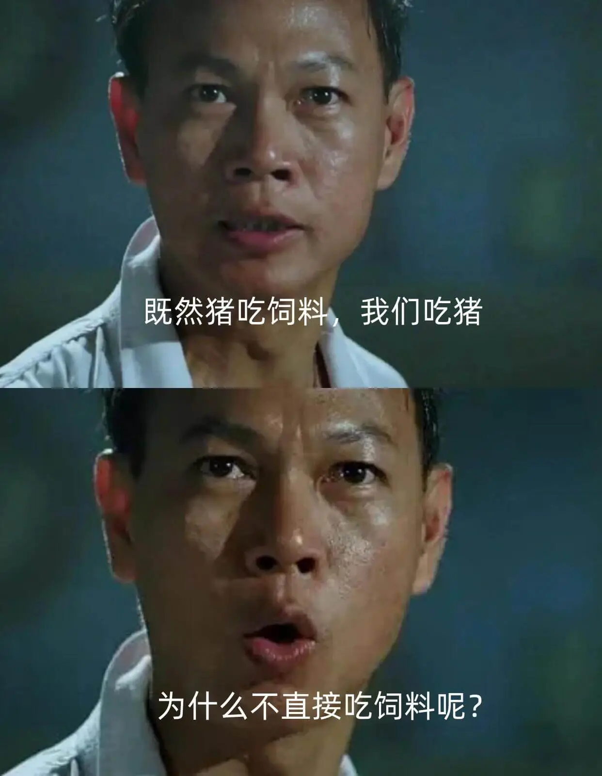既然猪吃饲料我们吃猪为什么不直接吃饲料呢？