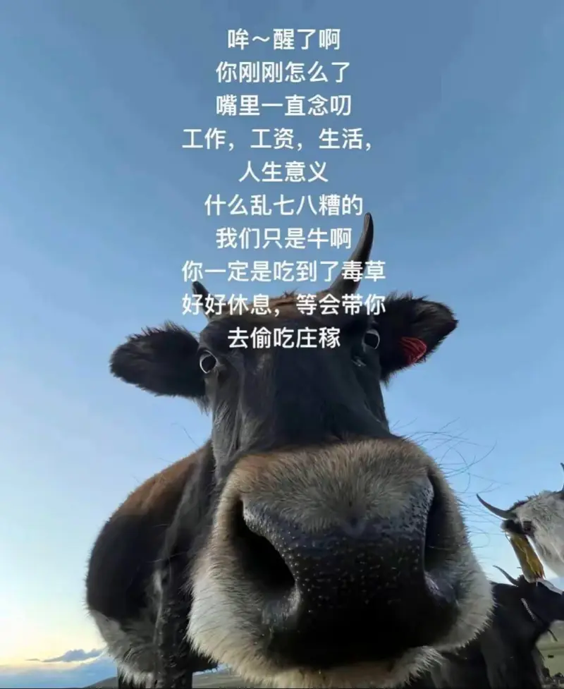 ～醒了啊你刚刚怎么了嘴里一直念叨工作，工资，生活，人生意义什