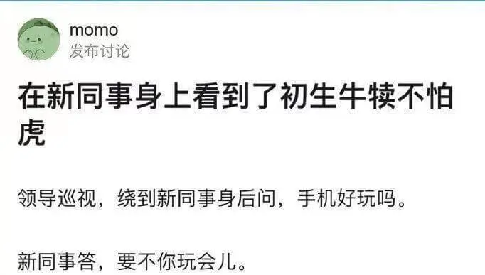 在新同事身上看到了初生牛犊不怕虎。领导巡视，绕到新同事身后问