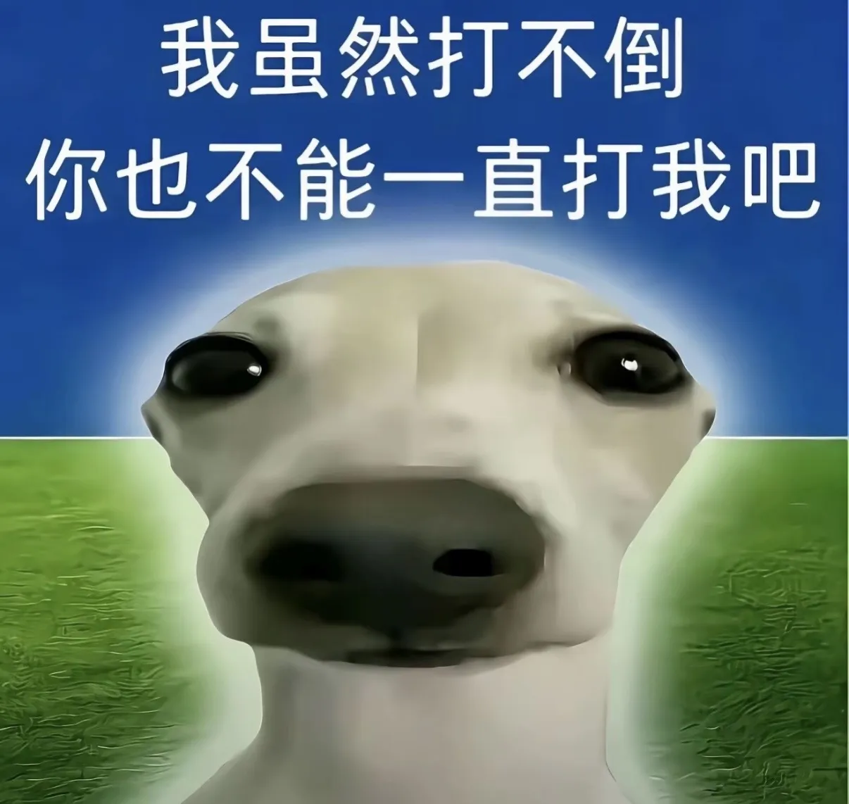 梗图