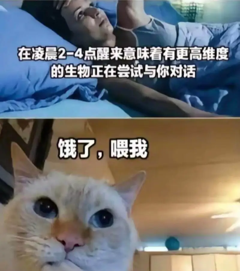 在凌晨2-4点醒来，意味着有更高维度的生物正在尝试与你对话。
