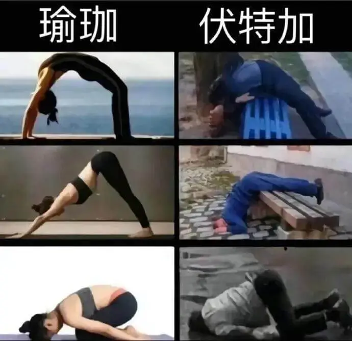 瑜珈伏特加