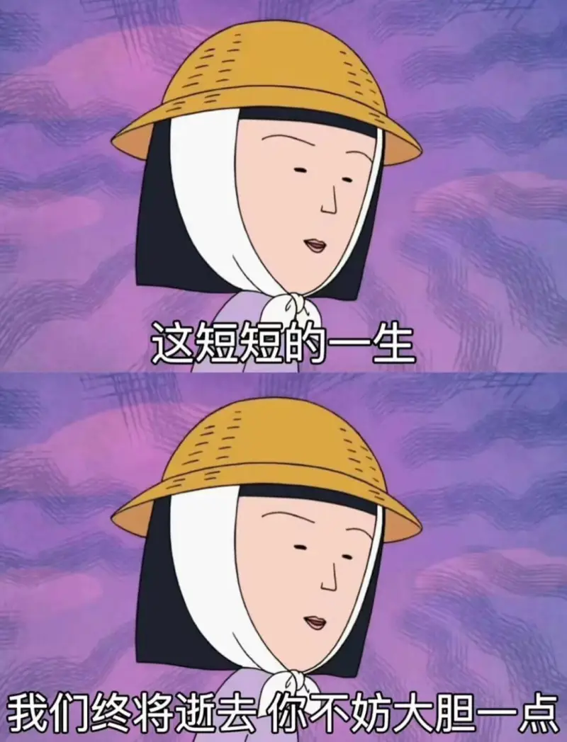 这短短的一生我们终将逝去，你不妨大胆一点