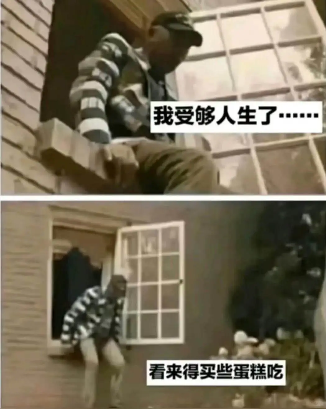 我受够人生了看来得买些蛋糕吃