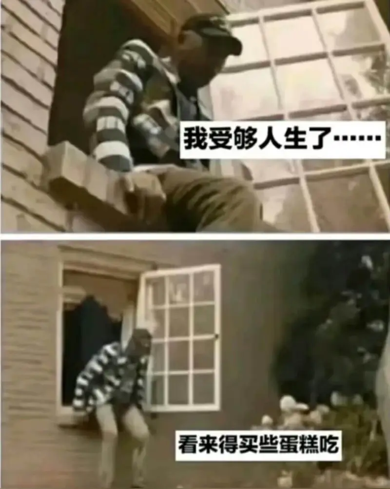 我受够人生了看来得买些蛋糕吃