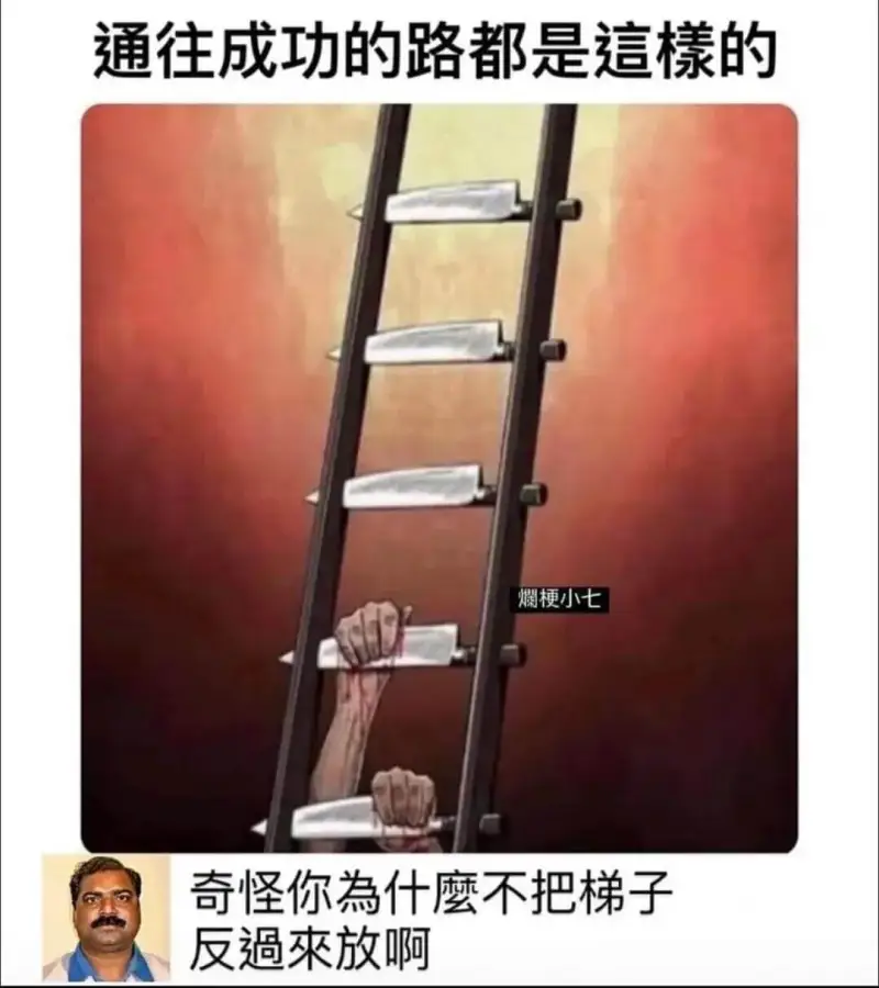 通往成功的路都是的斓梗小七奇怪，你为什么不把梯子反过来看啊